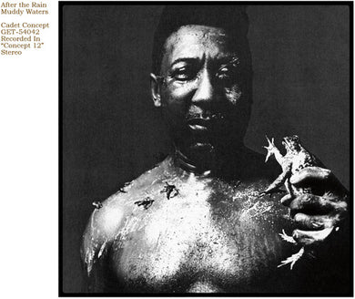 After the Rainby Muddy Waters (Vinyl Record)