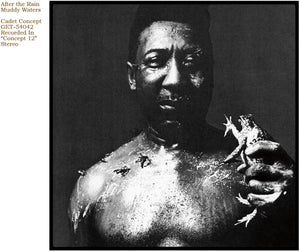 After the Rainby Muddy Waters (Vinyl Record)