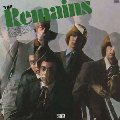 The Remains: The Remains (Vinyl LP)
