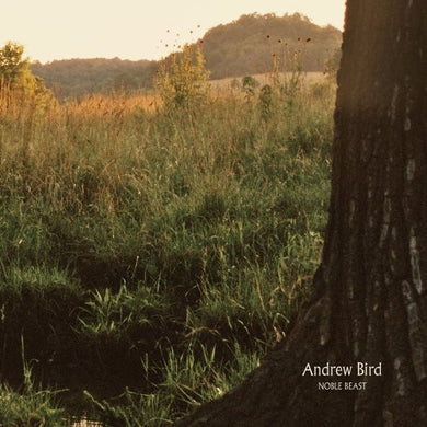 Bird, Andrew: Noble Beast (Vinyl LP)