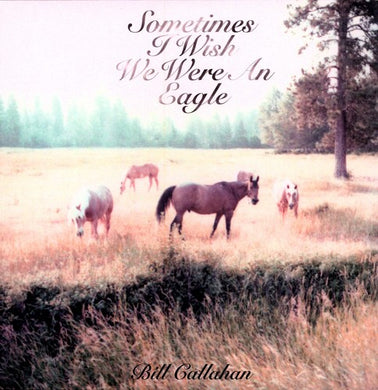 Callahan, Bill: Sometimes I Wish We Were An Eagle (Vinyl LP)