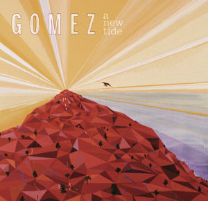 Gomez: A New Tide (Vinyl LP)
