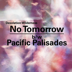 Desolation Wilderness: No Tomorrow/Pacific Palisades (7-Inch Single)