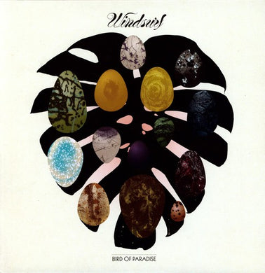 Windsurf: Bird Of Paradise (12-Inch Single)