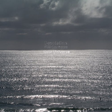 Desolation Wilderness: New Universe (Vinyl LP)