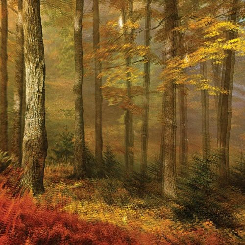 People of the North: Deep Tissue (Vinyl LP)