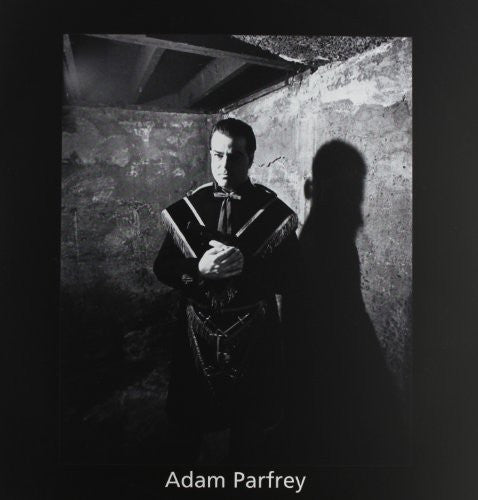 Rice, Boyd - Experience: Hatesville (Vinyl LP)