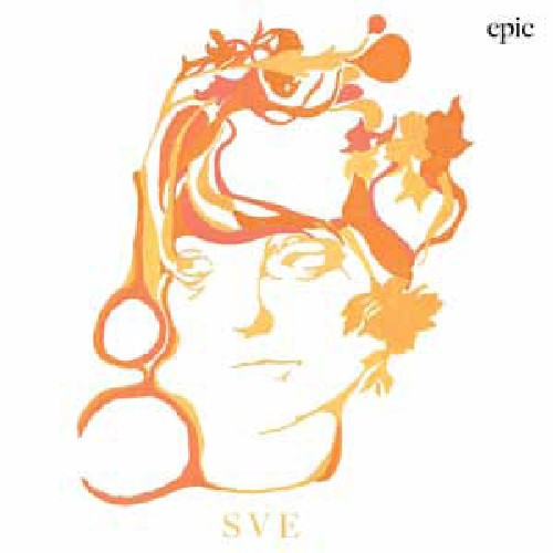 Sharon Van Etten: Epic (Vinyl LP)