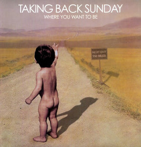 Taking Back Sunday: Where You Want to Be (Vinyl LP)