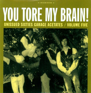 Various Artists: You Tore My Brain Sixties Garage Acetates, Vol. 5 (Vinyl LP)
