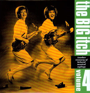 Various Artists: Big Itch Vol. 4 / Various (Vinyl LP)