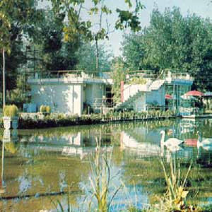 Ducktails: Ducktails 3: Arcade Dynamics (Vinyl LP)
