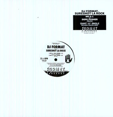 DJ Format: Mr DJ (12-Inch Single)