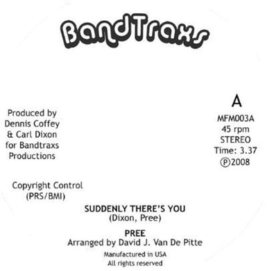 Pree: Suddenly There's You (Vinyl LP)