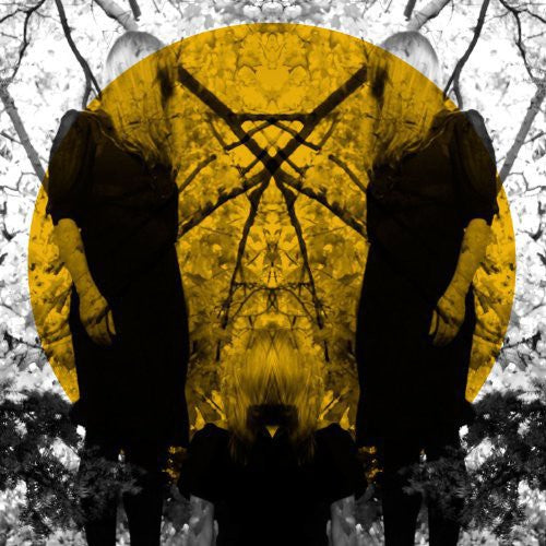 Austra: Feel It Break (Vinyl LP)
