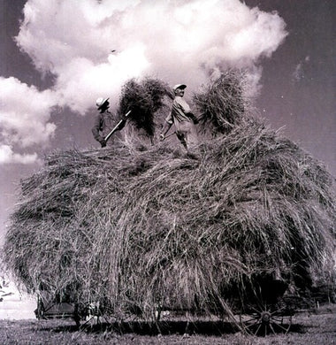 Whitmore, William Elliott: Field Songs (Vinyl LP)