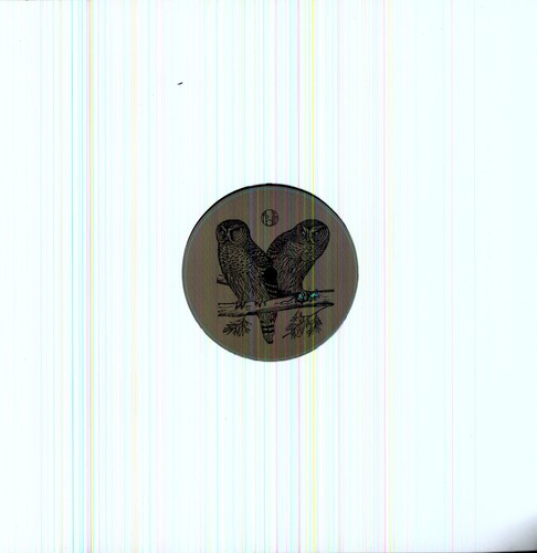 Hector: What the Hec (12-Inch Single)