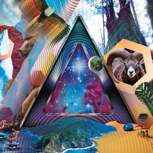 311: Universal Pulse (Vinyl LP)