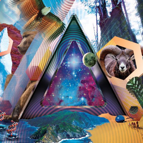 311: Universal Pulse (Vinyl LP)