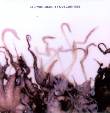 Merritt, Stephin: Obscurities (Vinyl LP)
