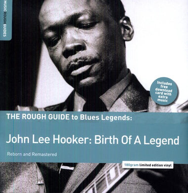 Hooker, John Lee: Rough Guide to John Lee Hooker (Vinyl LP)