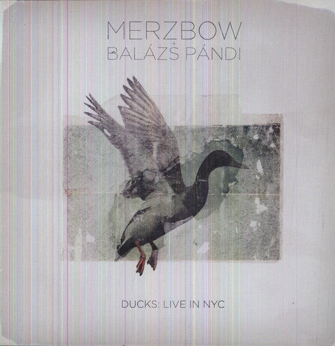 Merzbow: Ducks: Live in NYC (Vinyl LP)
