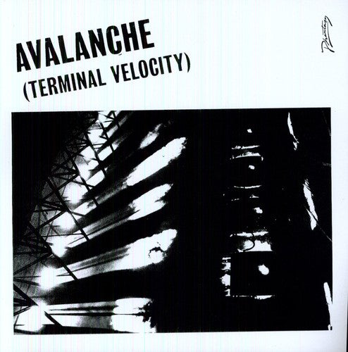 Alkan, Erol / Boys Noize: Avalanche (Terminal Velocity) (12-Inch Single)