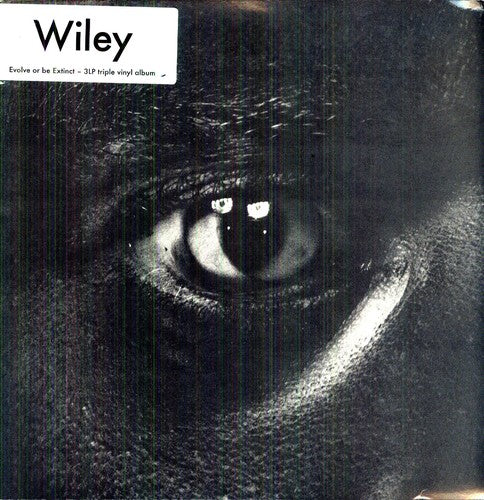 Wiley: Evolve or Be Extinct (Vinyl LP)