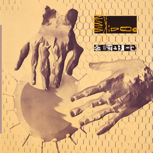 23 Skidoo: Seven Songs (Vinyl LP)