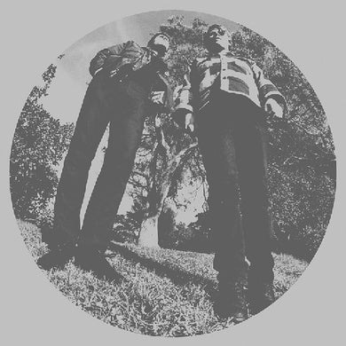 Segall, Ty & White Fence: Hair (Vinyl LP)