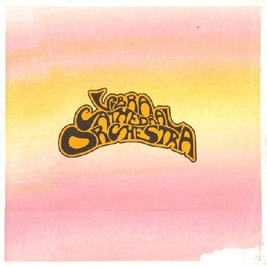 Vibracathedral Orchestra: Vibracathedral Orchestra [With DVD] [Reissue] (Vinyl LP)