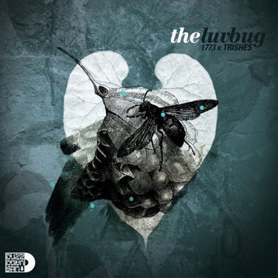 1773: Luv Bug (Vinyl LP)