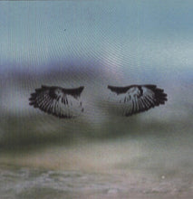 Shoes & Socks Off: Miles of Mad Water (Vinyl LP)