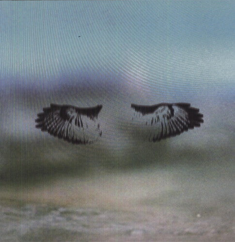 Shoes & Socks Off: Miles of Mad Water (Vinyl LP)
