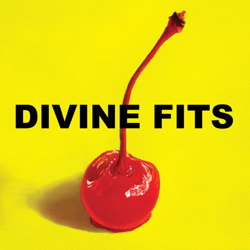 Divine Fits: A Thing Called Divine Fits (Vinyl LP)
