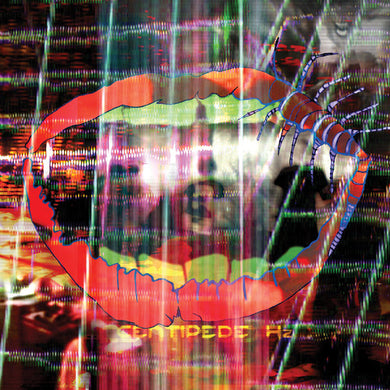 Animal Collective: Centipede HZ (Vinyl LP)