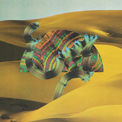 Django Django: Django Django (Vinyl LP)