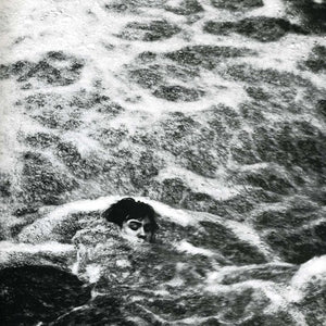 Pharaoh: This House Is Doomed (7-Inch Single)