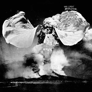 Luyas: Animator (Vinyl LP)