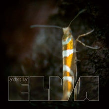 Ilar, Anders: Elva Remixes (12-Inch Single)