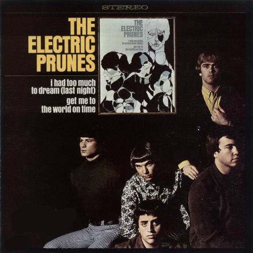 Electric Prunes: I Had Too Much To Dream (Vinyl LP)