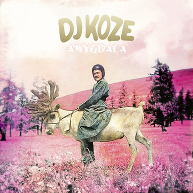 DJ Koze: Amygdala (Vinyl LP)