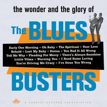 Blues Busters: Wonder & Glory of the Blues Busters (Vinyl LP)