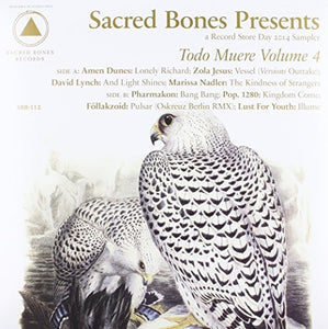 Todo Muere Vol 4 / Various: TODO MUERE VOL 4 (Various Artists) (Vinyl LP)