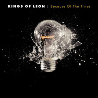 Kings of Leon: Because of the Times (Vinyl LP)