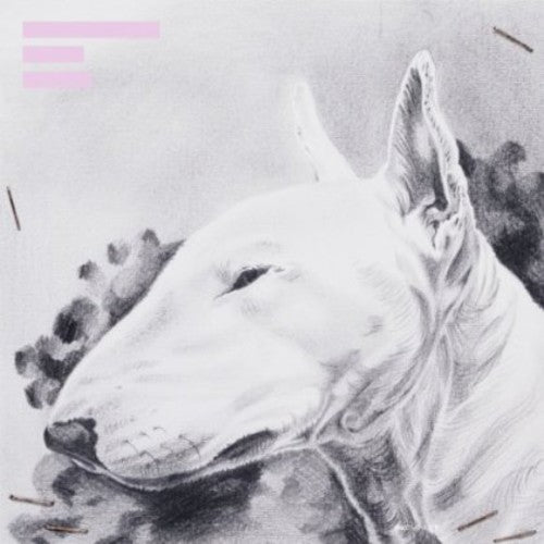 Terranova: Painkiller (12-Inch Single)