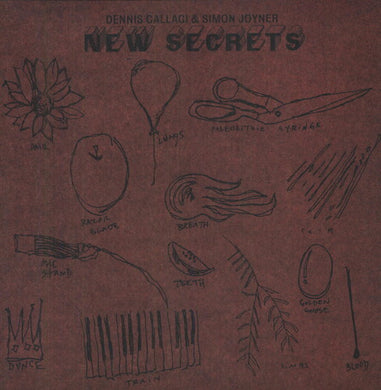 Callaci, Dennis & Joyner, Simon: New Secrets (Vinyl LP)