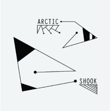 Arctic: Shook (12-Inch Single)