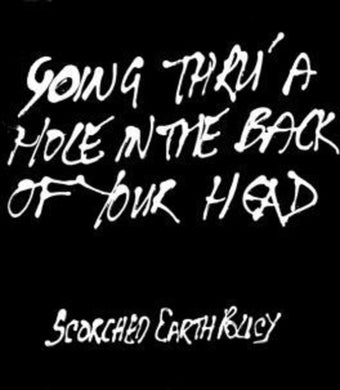 Scorched Earth Policy: Going Thru' A Hole In The Back Of Your Head (Vinyl LP)