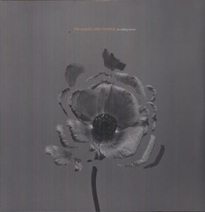 The Naked and Famous: In Rolling Waves (Vinyl LP)